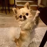 Anne Linda Hove - @annelhove - Instagram
