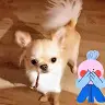 Anne Linda Hove - @annelindahove - TikTok