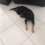 Anne Howarth - @aahowarth1 - Instagram
