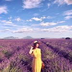 Anne Hua - @thi_hoanne - Instagram