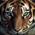 Anne Huber - Facebook
