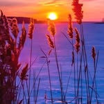 Anne Huber - @anne_huber2551 - Instagram