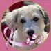 Anne Hubert - Facebook