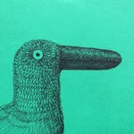 Anne Hunter Illustration - @annehunterillustration - Instagram