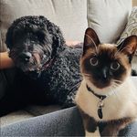 Anne Stiefermann Imhoff - @anneimhoff_01 - Instagram