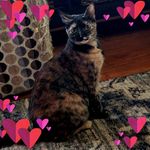 Ann Ingalls - @ann.ingalls - Instagram