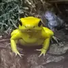 anneinger - @signisch - TikTok