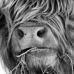 Anne Ingham - @royporterbutchers - Instagram