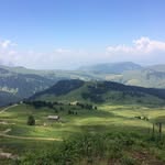 Anne Inglis - @anneinglis - Instagram