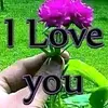 Anne.Ingram - @anneingramgmelqtw - TikTok