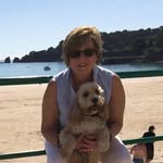 Anne Innes - @anneinnes1954 - Instagram