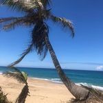 Anne Irvine - @anneirvine143 - Instagram
