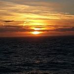 Anne Irvine - @annecorpach - Instagram