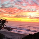 Anne Irving - @anne.irving.589 - Instagram