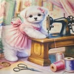 Anne Ito - @maltese_anne.1028 - Instagram