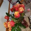 Bonnie-Anne Iverson - @bonnieanne.iverso - TikTok