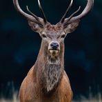 Ann Ives - Facebook