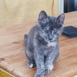 Ann Ives - @ann.ives.5 - Instagram