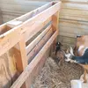Ann Jack - @annjack.05 - TikTok