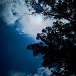 Anne Jack - @annelouise1959 - Instagram
