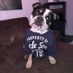 Anne Jacoby - @_chico2016_ - Instagram