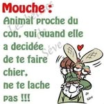 Anne Jacquin - @anne.jacquin.50 - Instagram