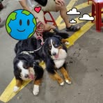 Anne Jang - Facebook