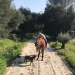 Anne Jansen Grooming & More - @annejansengroomingandmore - Instagram