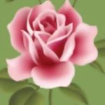Anne Jarman - @jarmananne - Instagram
