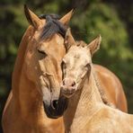 Anne Jarman - Facebook
