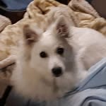 Melody Anne Jarrard - @melodyannejarrard - Instagram