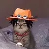 Jisp - @jasper.sanneman - TikTok