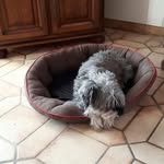 Anne-marie Jeannot-rouyer - @jeannotrouyer - Instagram