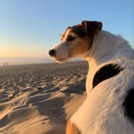 Miss Roo Anne Jefferies - @rootypops - Instagram