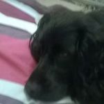 Anne Jeffrey Hunter - @annejeffreyhunter - Instagram