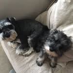 Anne Jenkins - @annejenkins1168 - Instagram