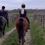 ANNE JENKINS 🇬🇧 IFB - @annejenkins.eventing - Instagram