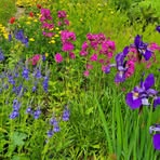 Anne Jepson - Facebook