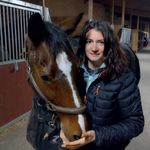 Anne Jérôme - @aj_masseur_equinetcanin - Instagram