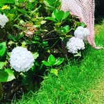 Anne Joel - @voice_of_joel - Instagram