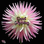 Anne Joel - Facebook