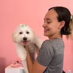 Anne_Joeline - @daiillydaanne - Instagram