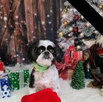 Joanne Johncox - Facebook