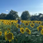 Anne-Co Jonker - @anne_cojonker - Instagram