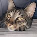 Anne Joubert - Facebook