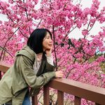 Anne Ju - @anneju.824 - Instagram