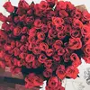 annemariejunker - @annemariejunker - TikTok