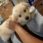 Anne Kahn - @anne.kahn.925 - Instagram