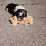 Anne kahn - @annekahn6486 - Instagram