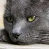 Anne Kanter759 - @annekanter1 - TikTok